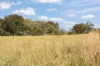 576 Lue Road, Mudgee, NSW 2850-Image