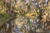 576 Lue Road, Mudgee, NSW 2850-Image