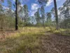 580 Old Tenterfield Road, Camira, NSW 2469