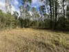 580 Old Tenterfield Road, Camira, NSW 2469-Image