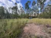 580 Old Tenterfield Road, Camira, NSW 2469-Image