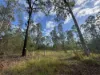 580 Old Tenterfield Road, Camira, NSW 2469-Image