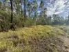 580 Old Tenterfield Road, Camira, NSW 2469-Image