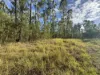 580 Old Tenterfield Road, Camira, NSW 2469-Image