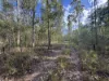 580 Old Tenterfield Road, Camira, NSW 2469-Image