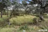 580 The Bridle Track, Glenaroua, Vic 3764-Image