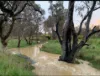 580 The Bridle Track, Glenaroua, Vic 3764-Image