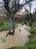 580 The Bridle Track, Glenaroua, Vic 3764-Image