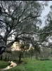 580 The Bridle Track, Glenaroua, Vic 3764-Image