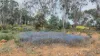 582 Sheoak Road, Hastings, WA 6308-Image