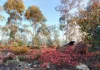 582 Sheoak Road, Hastings, WA 6308-Image