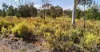 582 Sheoak Road, Hastings, WA 6308-Image
