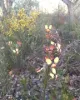 582 Sheoak Road, Hastings, WA 6308-Image