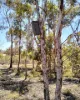 582 Sheoak Road, Hastings, WA 6308-Image