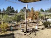 582 Sheoak Road, Hastings, WA 6308-Image