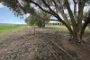 584 Godwins Road, Berriwillock, Vic 3531-Image
