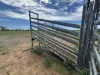 586 Bindango Road, Roma, Qld 4455-Image