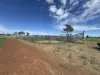 586 Bindango Road, Roma, Qld 4455-Image