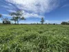 586 Bindango Road, Roma, Qld 4455-Image