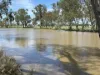 586 Bindango Road, Roma, Qld 4455-Image