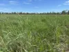 586 Bindango Road, Roma, Qld 4455-Image