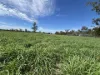 586 Bindango Road, Roma, Qld 4455-Image