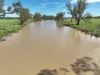 586 Bindango Road, Roma, Qld 4455-Image