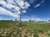 586 Bindango Road, Roma, Qld 4455-Image