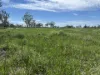 586 Bindango Road, Roma, Qld 4455-Image