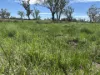 586 Bindango Road, Roma, Qld 4455-Image