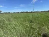 586 Bindango Road, Roma, Qld 4455-Image
