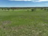 586 Bindango Road, Roma, Qld 4455-Image