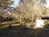 588 Beresford Road, Numeralla, NSW 2630-Image