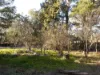 588 Beresford Road, Numeralla, NSW 2630-Image
