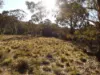 588 Beresford Road, Numeralla, NSW 2630-Image