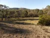 588 Beresford Road, Numeralla, NSW 2630-Image