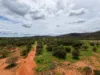 589 Ross Highway, Ross, NT 0873-Image