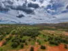 589 Ross Highway, Ross, NT 0873-Image
