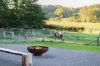 59 Razorback Road, Tallong, NSW 2579-Image
