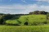 59 Razorback Road, Tallong, NSW 2579-Image