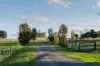 59 Razorback Road, Tallong, NSW 2579-Image