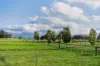 59 Razorback Road, Tallong, NSW 2579-Image