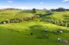 59 Razorback Road, Tallong, NSW 2579-Image