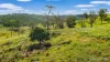 595 Pines Road, Edenville, NSW 2474-Image