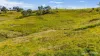 595 Pines Road, Edenville, NSW 2474-Image