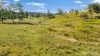 595 Pines Road, Edenville, NSW 2474-Image