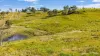 595 Pines Road, Edenville, NSW 2474-Image