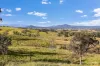 595 Pines Road, Edenville, NSW 2474-Image