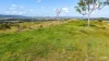 595 Pines Road, Edenville, NSW 2474-Image