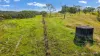 595 Pines Road, Edenville, NSW 2474-Image